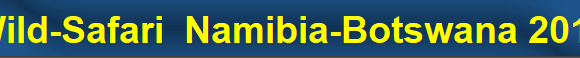 Wild-Safari  Namibia-Botswana 2019
